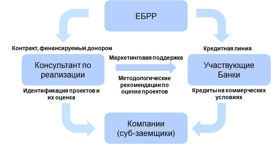 belseff graph
